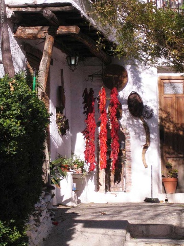 Typical Alpujarras House